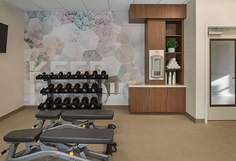 ホテル Springhill Suites By Marriott West Sacramento