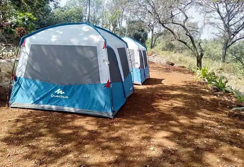 Hotelli Campistaan Vakan