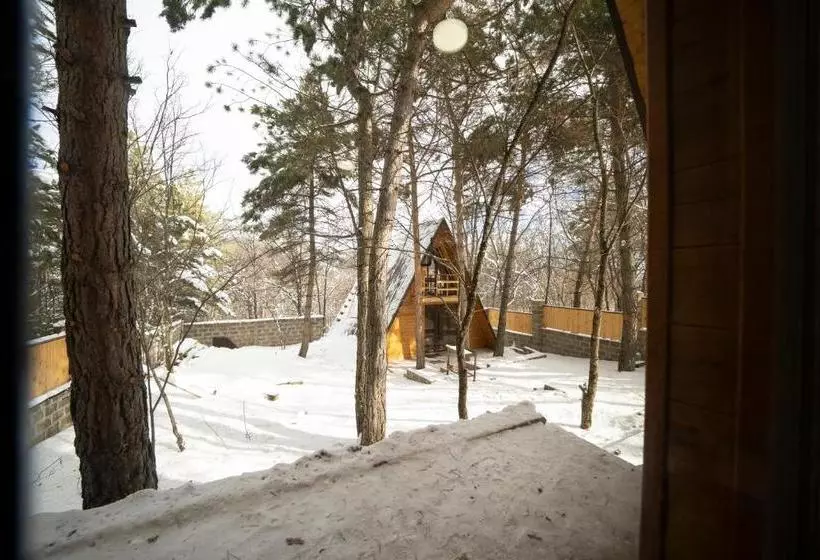 هتل Woodland Cottages