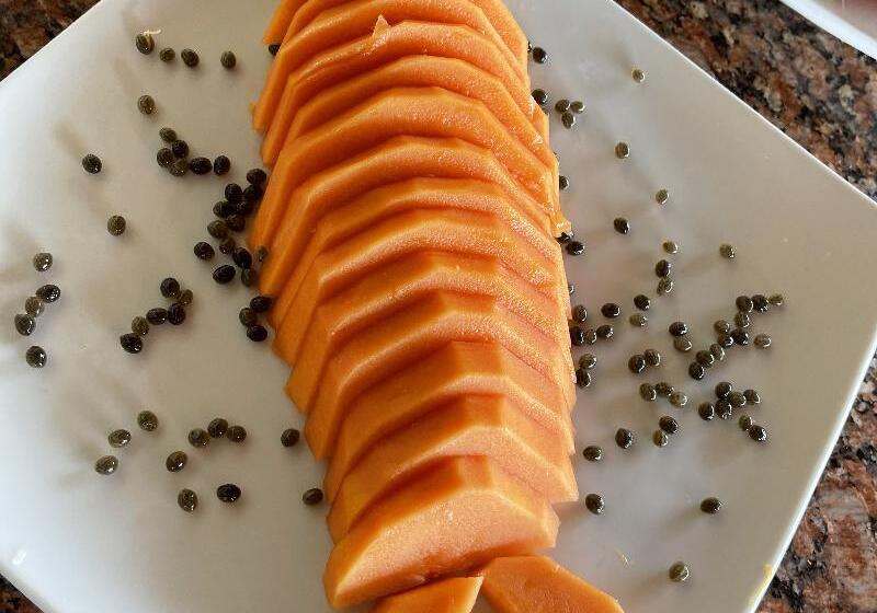 펜션 Ronco Do Mar Cumbuco