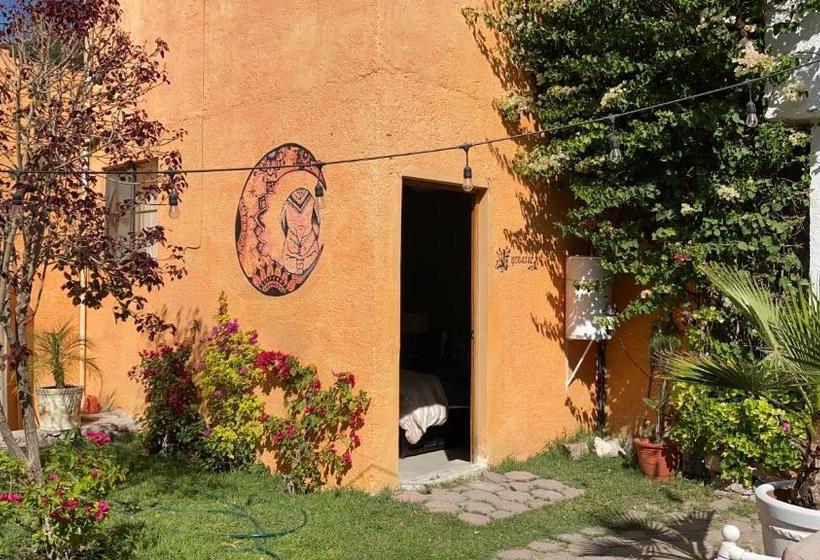 酒店 Amanezer Boutique