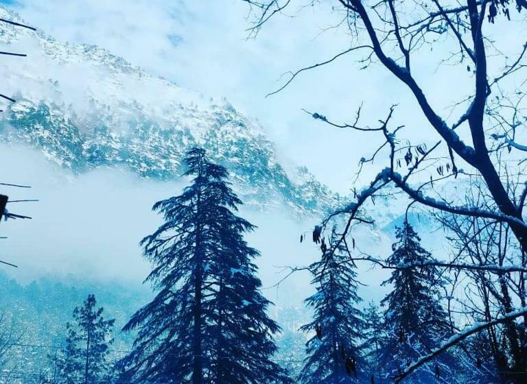 בית מלון כפרי Himalayan Dews Ukhimath