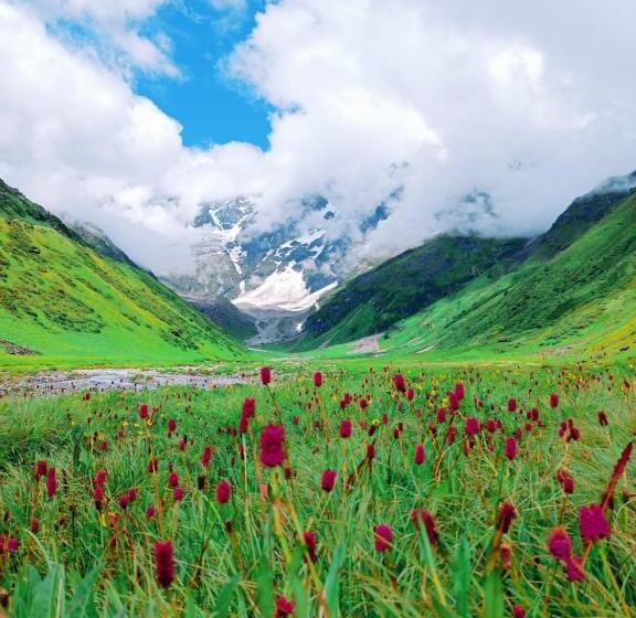 בית מלון כפרי Himalayan Dews Ukhimath