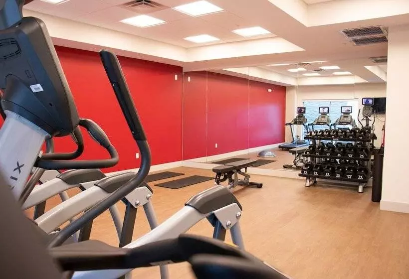 Hotelli Holiday Inn Express & Suites Tuscaloosa East, An Ihg