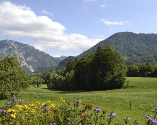 酒店 Maiergschwendter Hof