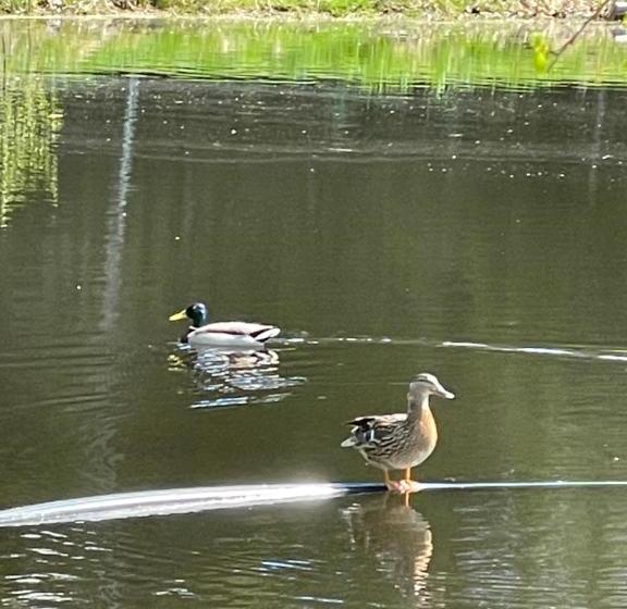 Hults Boaryd Golf Och B&b