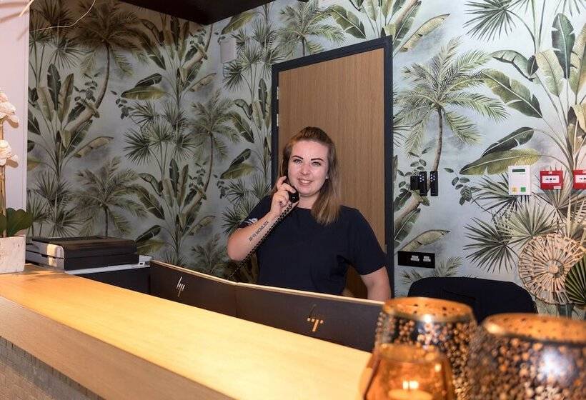 Zeeuws Licht I Kloeg Collection