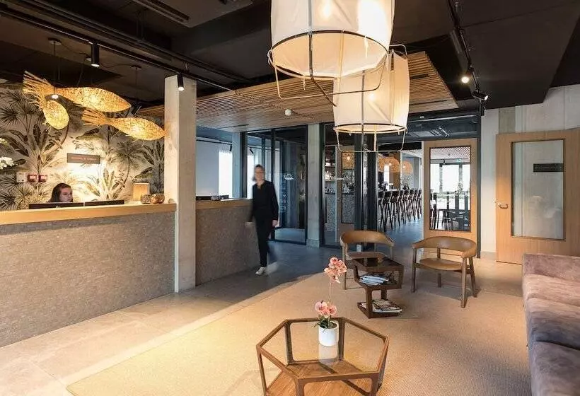 Zeeuws Licht I Kloeg Collection