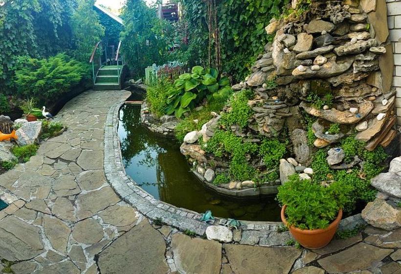 هاستل клуб B55