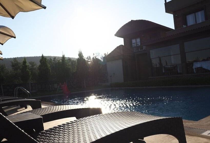 Myosotis Boutique Otel