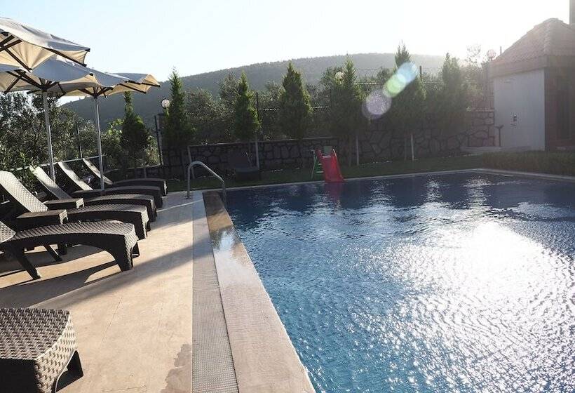 Myosotis Boutique Otel