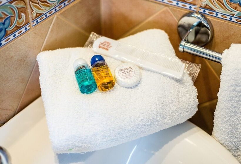 乡村酒店  Cortijo De Tajar