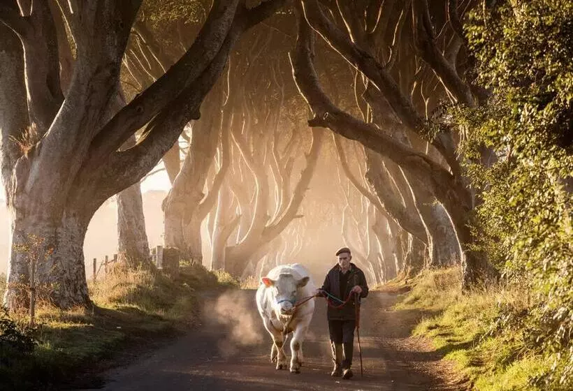 Lurig View B&b Glenariffe