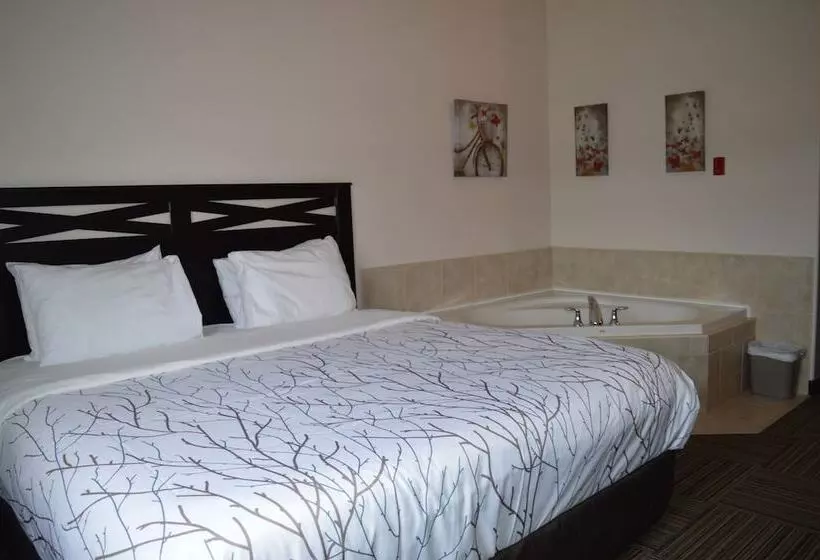 Auberge Macdonald Guest Inn