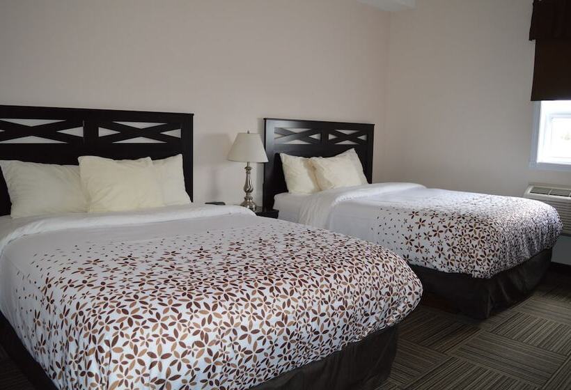 ユースホステル Auberge Macdonald Guest Inn