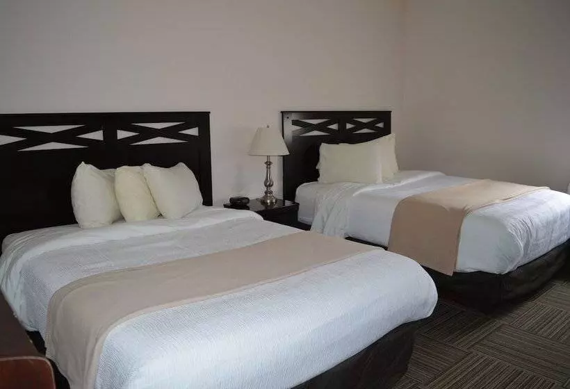 Auberge Macdonald Guest Inn