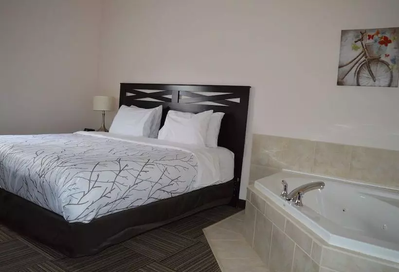 Auberge Macdonald Guest Inn