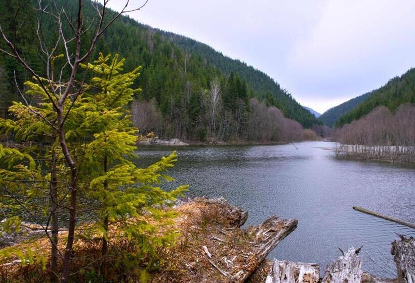 Dream Hostel Carpathians Rakhiv