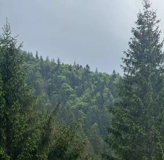 Hotelli верховинський водограй