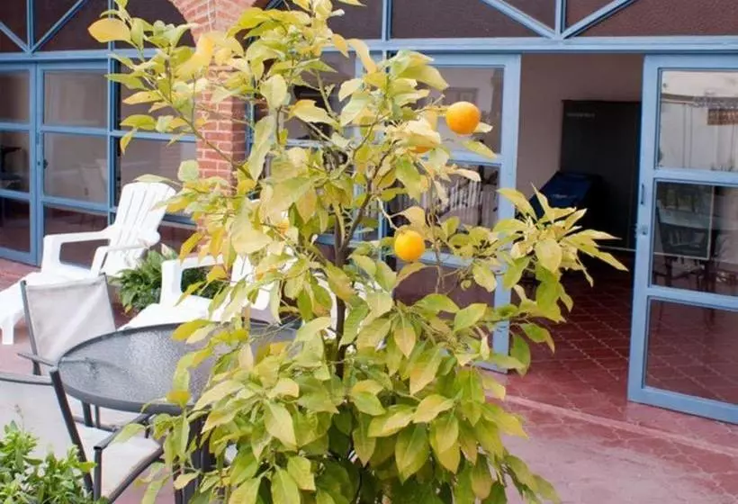 Hotelli Casa De Los Milagros