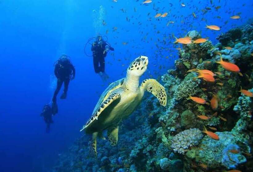 Hôtel Pousada Miramar