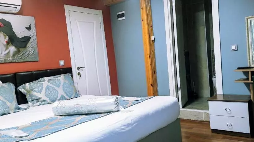 هتل Mitra Downtown