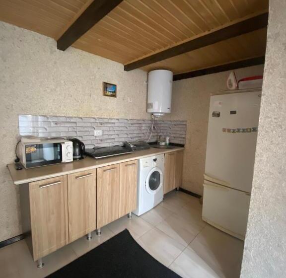 פנסיון Prykarpatska Villa