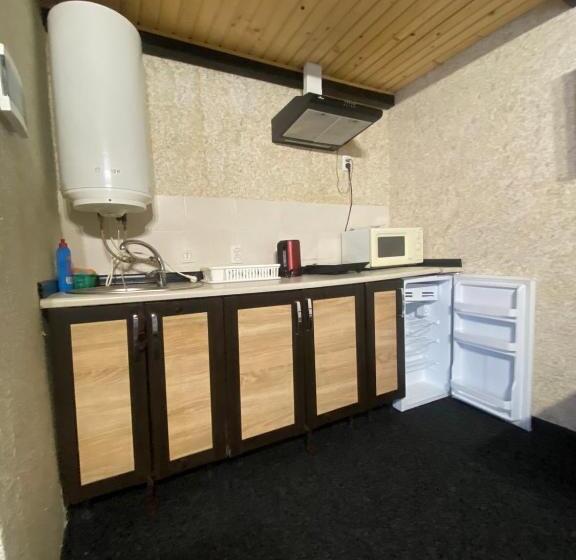 פנסיון Prykarpatska Villa