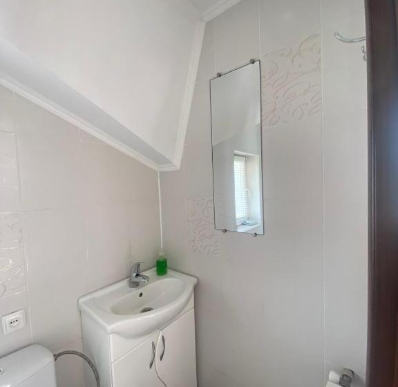 פנסיון Prykarpatska Villa