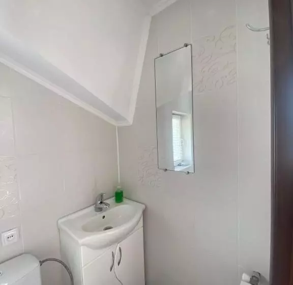 Majatalo Prykarpatska Villa