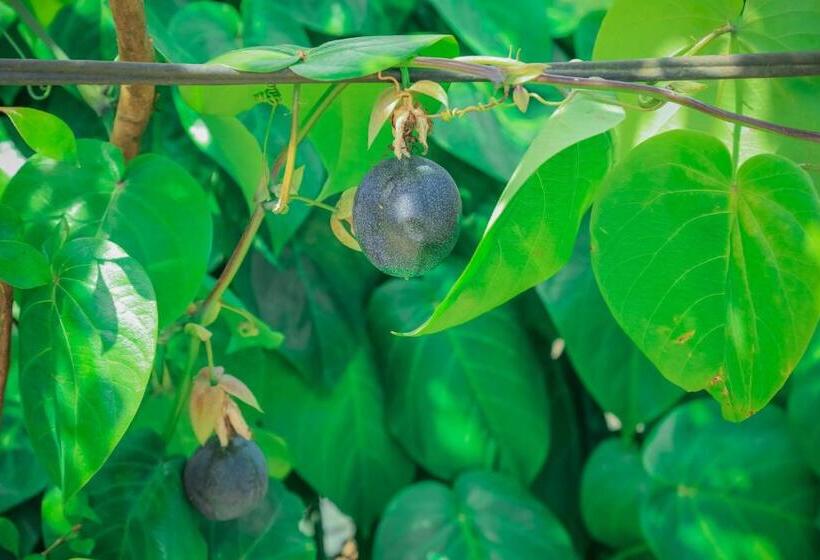 فندق House Of Leisure