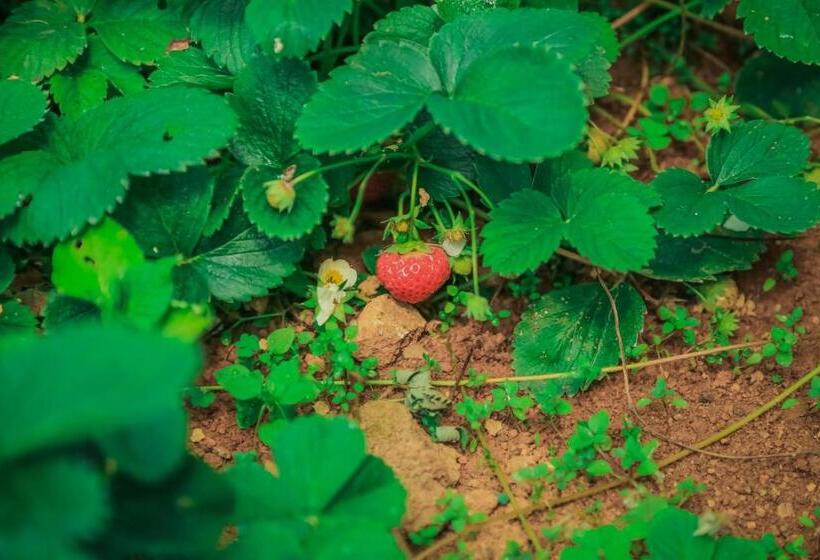 فندق House Of Leisure