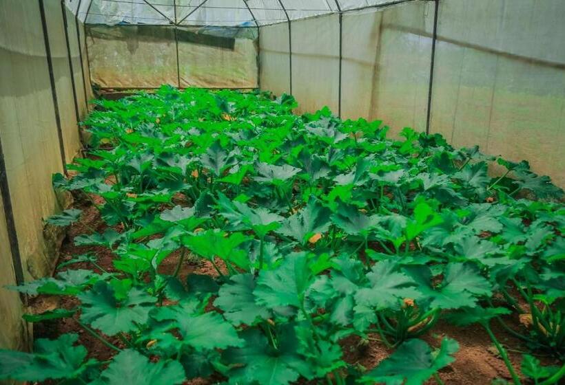 فندق House Of Leisure