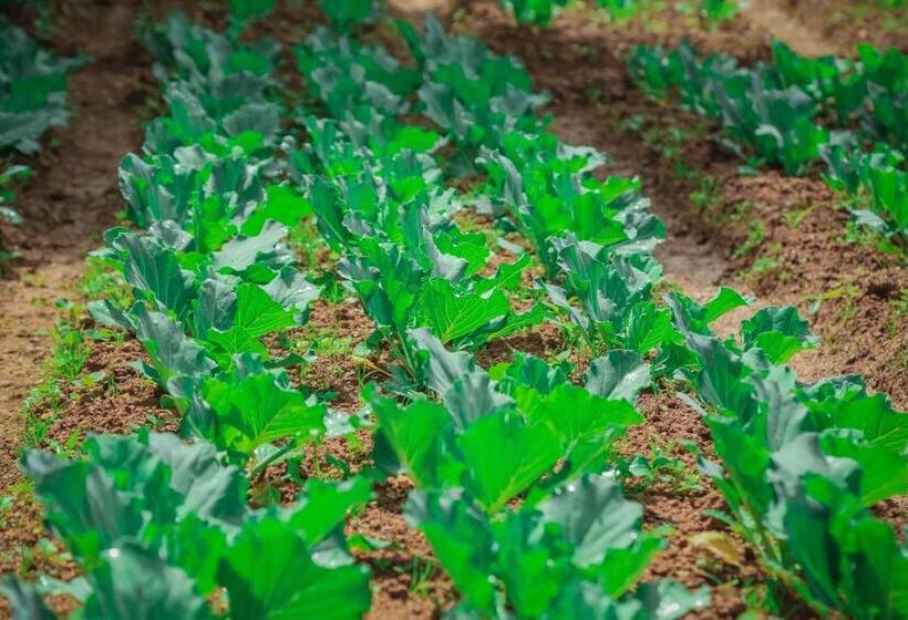 فندق House Of Leisure