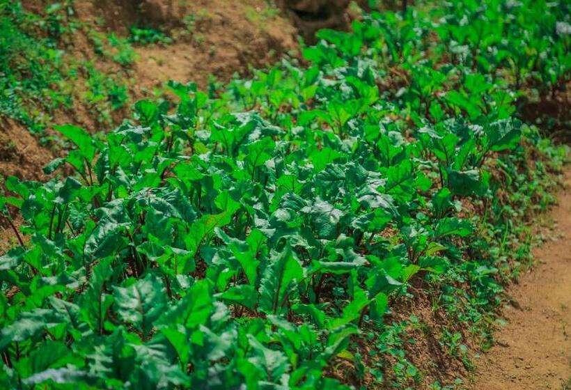 فندق House Of Leisure