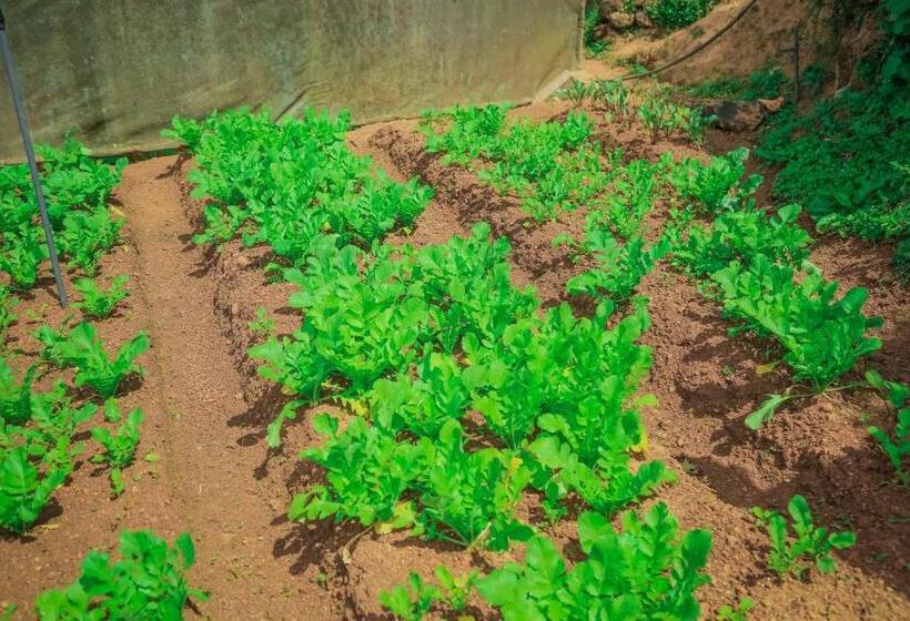 فندق House Of Leisure