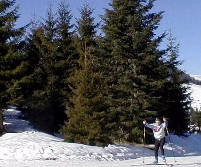 Hotelli Hôtel Le Picors