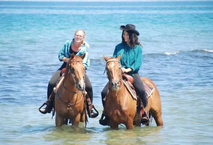 Horse Country Resort Congress & Spa Hotel Ribot