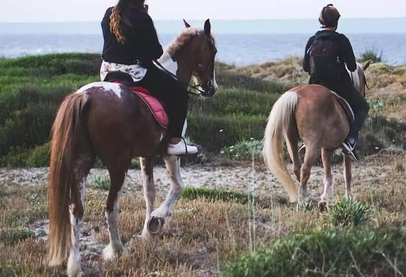 Horse Country Resort Congress & Spa Hotel Ribot