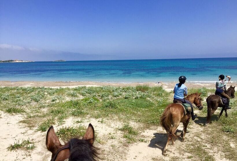 Horse Country Resort Congress & Spa   Hotel Ribot