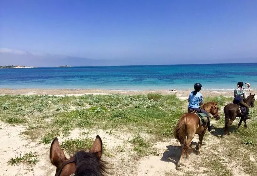 Horse Country Resort Congress & Spa Hotel Ribot