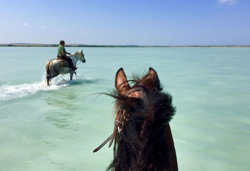 Horse Country Resort Congress & Spa   Hotel Ribot