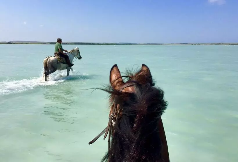 Horse Country Resort Congress & Spa Hotel Ribot