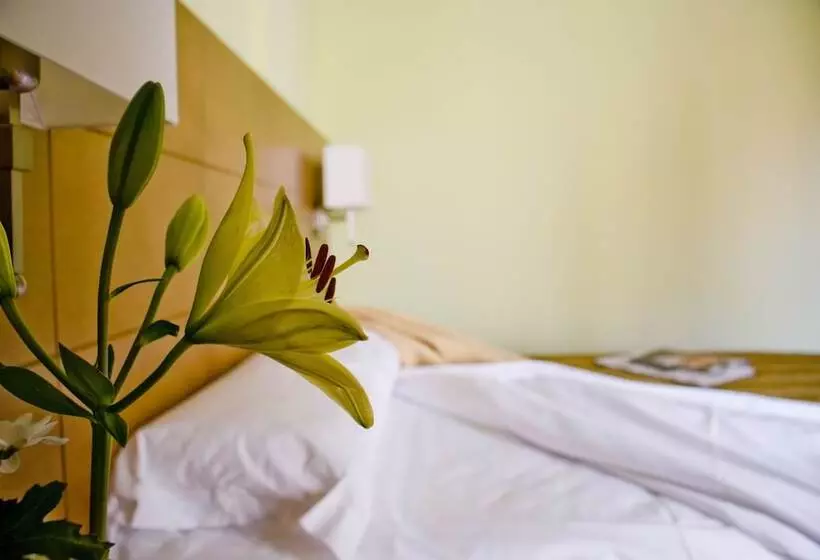 هتل 4c Puerta Europa