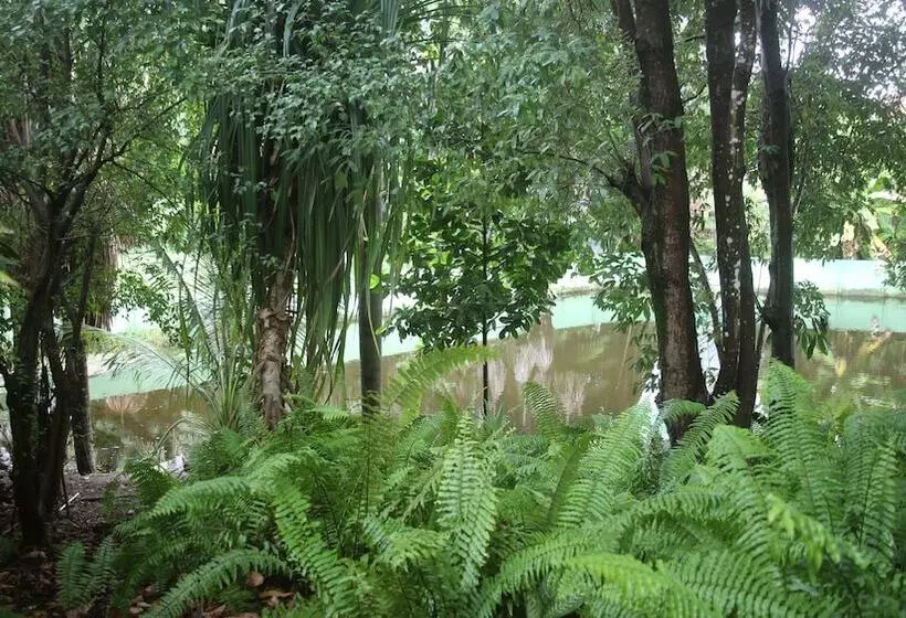 فندق Pousada Do Buriti