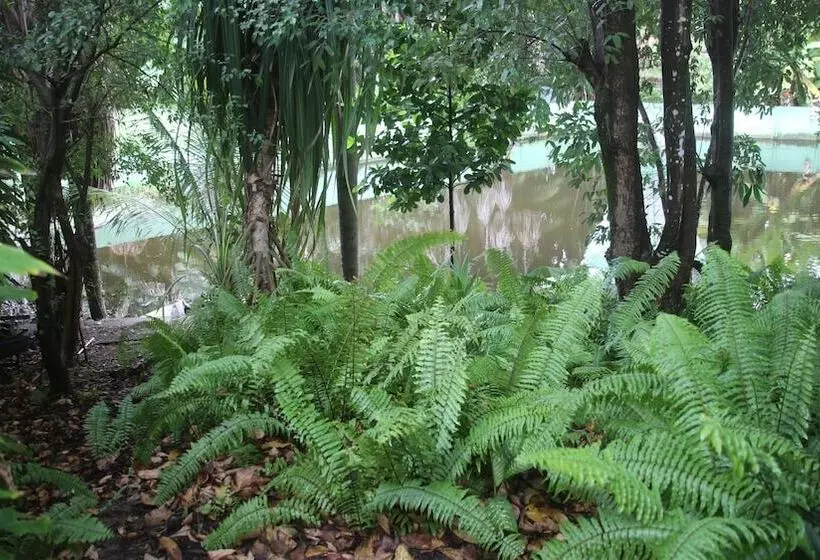 فندق Pousada Do Buriti