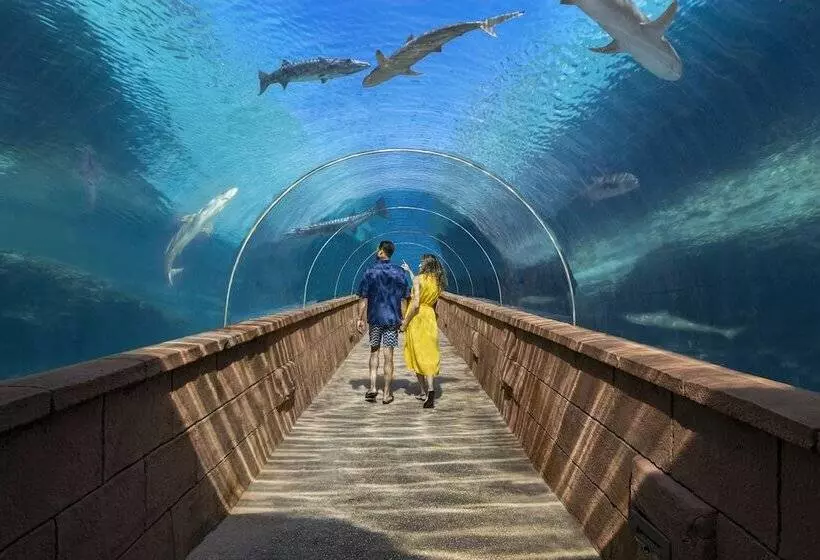 استراحتگاه The Royal At Atlantis