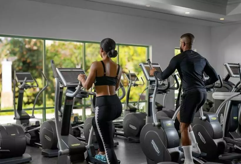 استراحتگاه The Royal At Atlantis