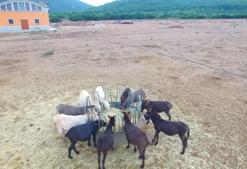 Villaggio Camping Torre Del Porticciolo