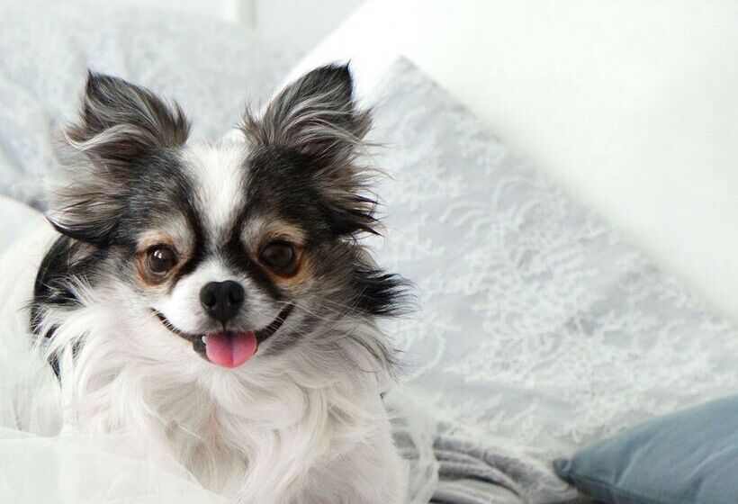 Residence Inn By Marriott Cancun Hotel Zone